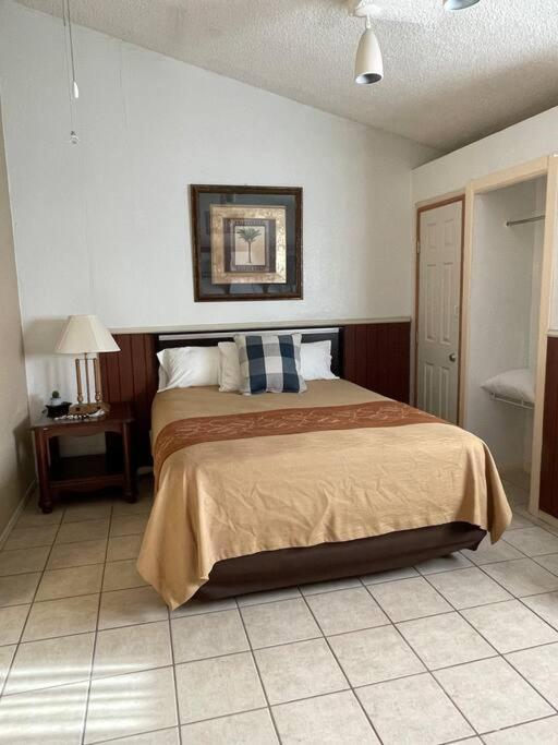 Large Piece Of Heaven Back House * San Antonio