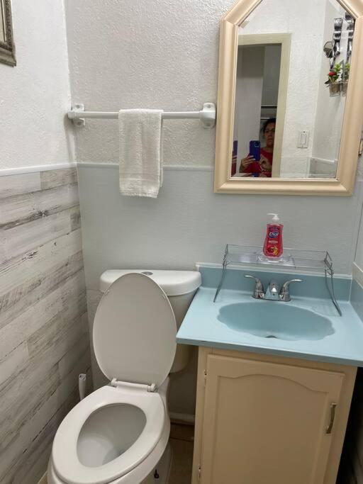Apartamento Large Piece Of Heaven Back House San Antonio